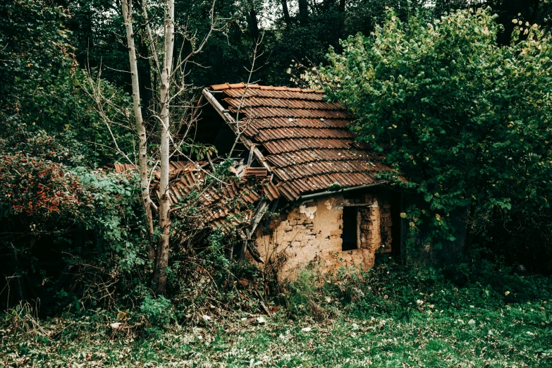 a small house in the middle of a forest, an album cover, inspired by Elsa Bleda, pexels contest winner, renaissance, abandoned prague, roof with vegetation, 1990's photo, brown