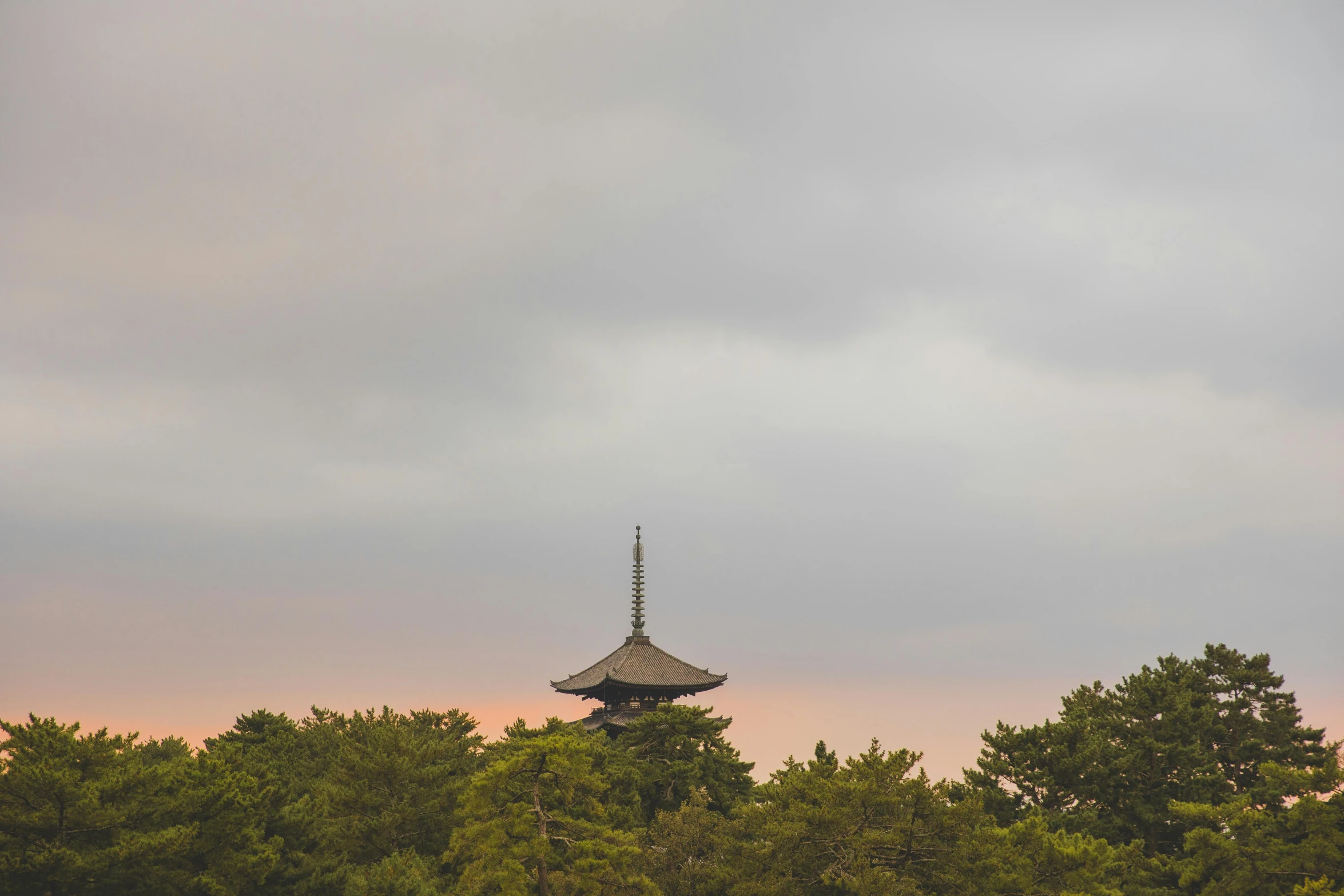 a tall tower sitting in the middle of a forest, inspired by Itō Jakuchū, unsplash, sōsaku hanga, cloudy sunset, lead - covered spire, 2 0 0 0's photo