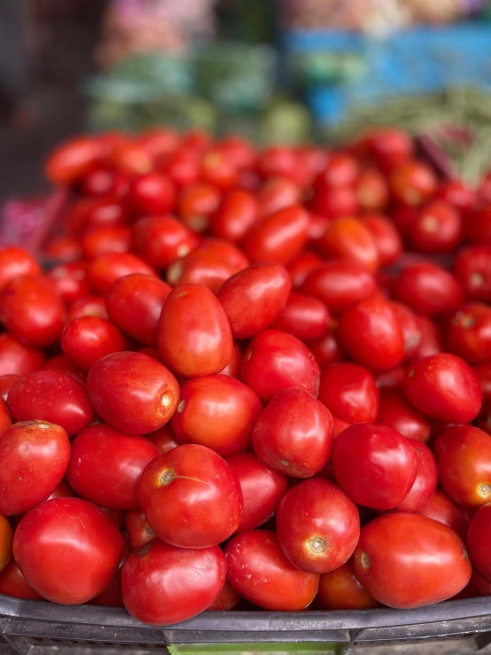 a basket filled with lots of red tomatoes, by Sam Dillemans, uganda knuckles, thumbnail, street market, subtle detailing