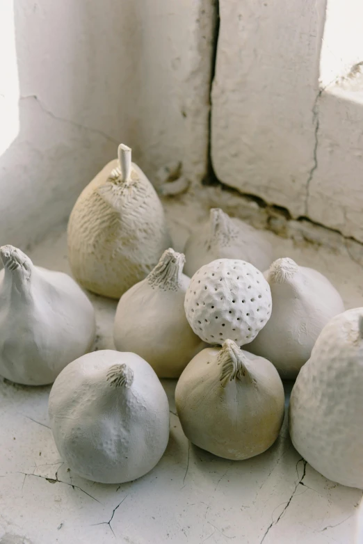 a bunch of garlic sitting on top of a window sill, inspired by Sarah Lucas, concrete art, many cryogenic pods, various sizes, found in a cave made of clay, fruit