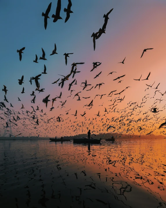 a flock of birds flying over a body of water, inspired by Steve McCurry, pexels contest winner, indore, bats in sky, museum quality photo, award winning color photo