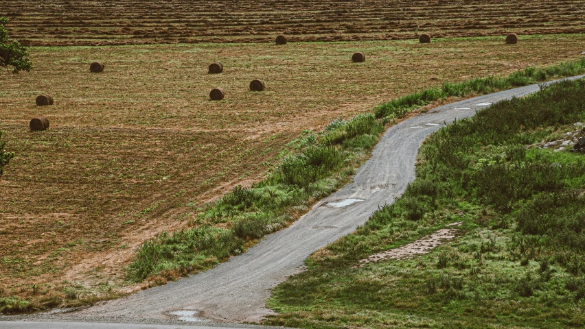 a person riding a motorcycle down a country road, an album cover, unsplash, land art, mowing of the hay, france, sisyphus compostition, natural textures