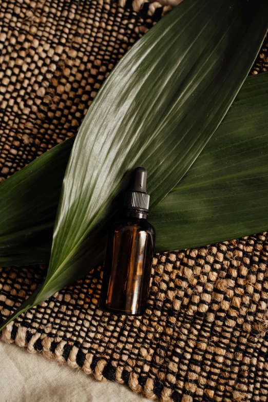 a bottle of essential oil next to a green leaf, by Carey Morris, trending on pexels, renaissance, black fine lines on warm brown, made of bamboo, wavy, bali