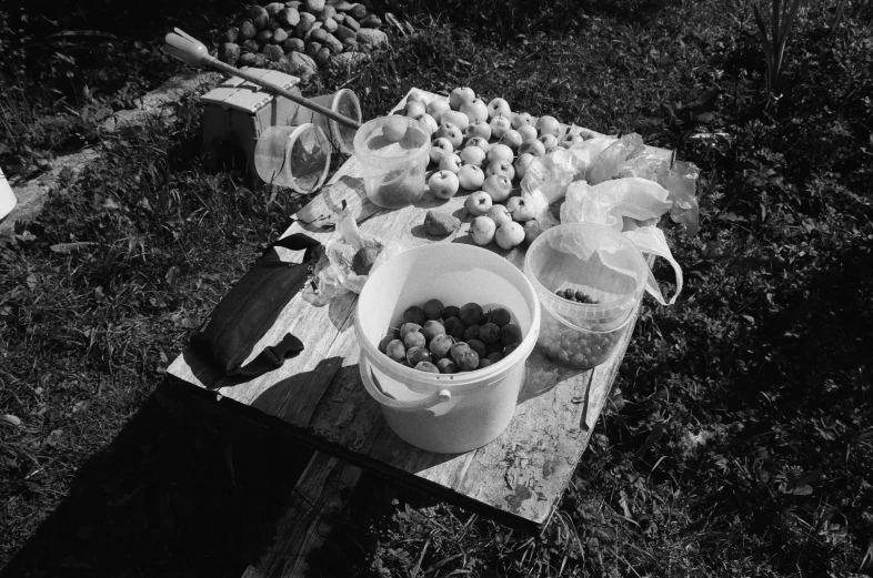 a wooden table topped with buckets of fruit, by Maurycy Gottlieb, flickr, process art, tri - x 4 0 0 tx, apples on the ground, with a bunch of stuff, early black and white 8mm