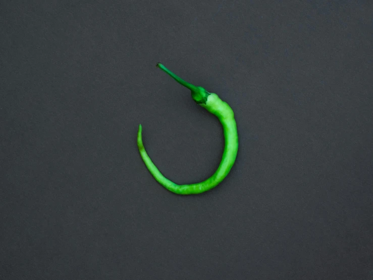 a green pepper on a black background, an album cover, inspired by Bruce Nauman, trending on pexels, hurufiyya, scorpion tail, on grey background, made of plastic, hook as ring