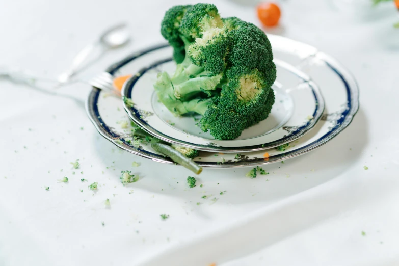 a close up of a plate with broccoli on it, unsplash, magic realism, cut-away, place setting, ruined, shot on hasselblad