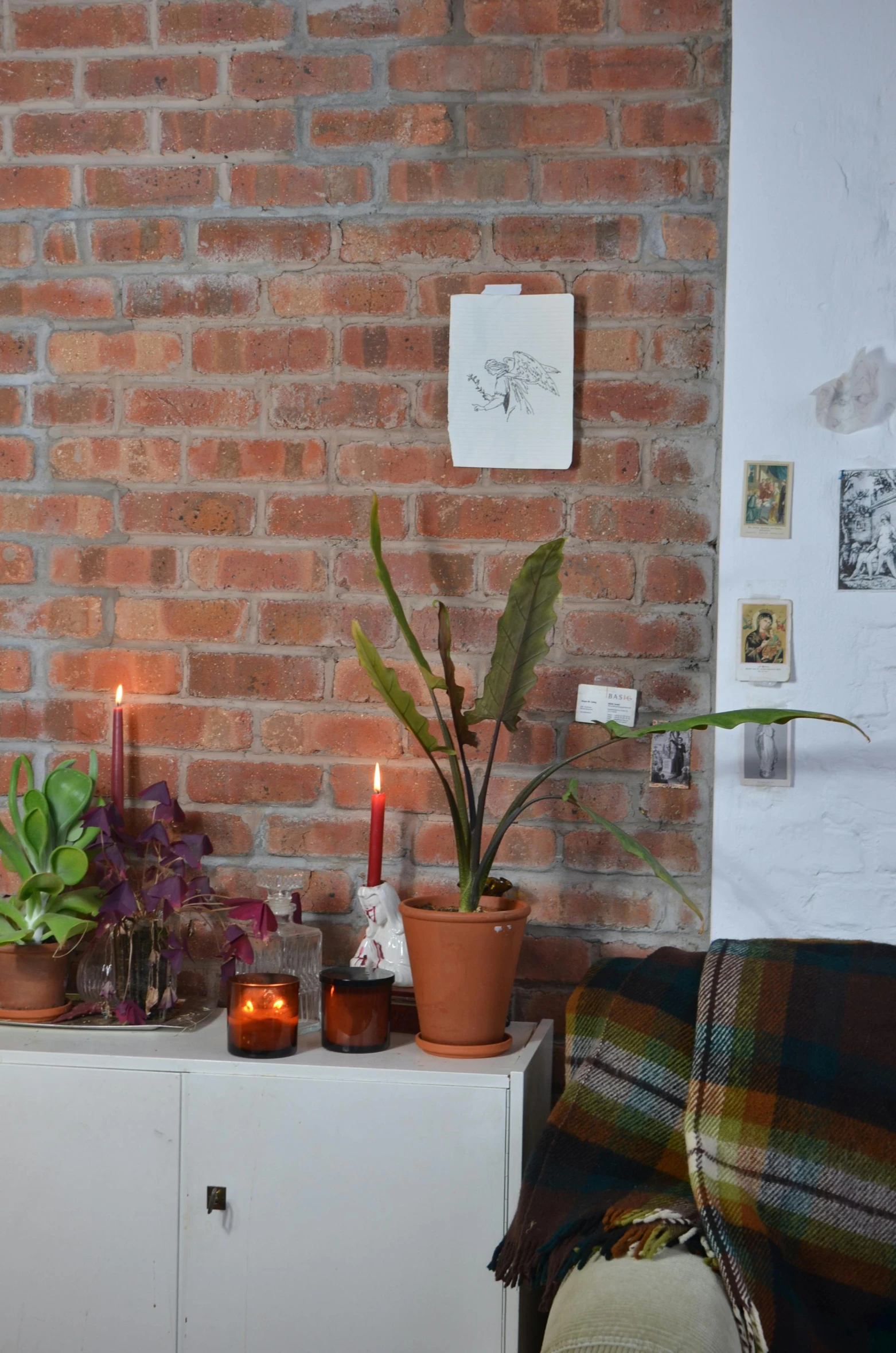 a living room filled with furniture and a brick wall, a photo, by Jessie Alexandra Dick, natural candle lighting, plant spirit, profile image, cosy