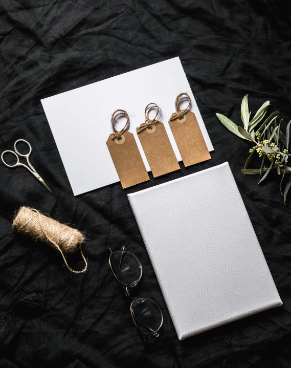 a pair of scissors sitting on top of a piece of paper, inspired by Eden Box, small vials and pouches on belt, thumbnail, grey, set photograph