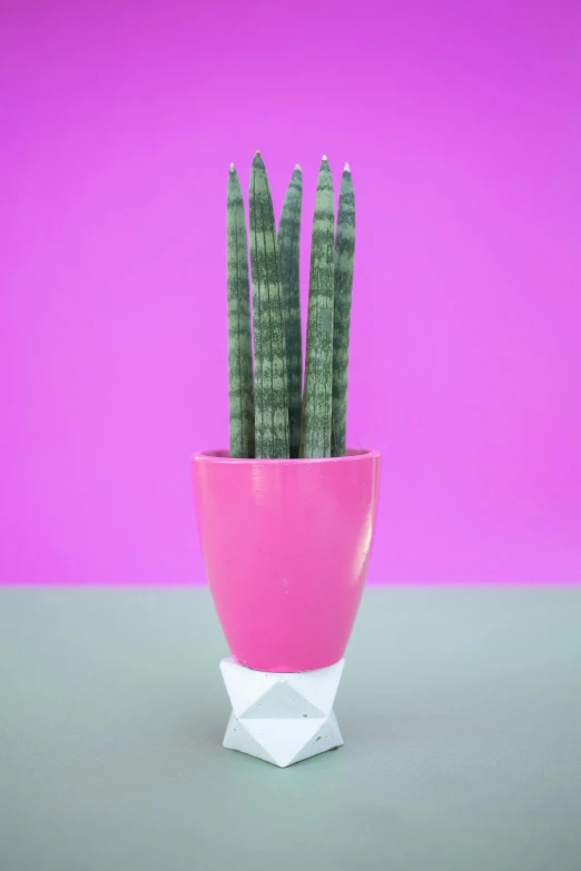 a potted plant sitting on top of a table, inspired by David Hockney, op art, pink crystal mohawk, made of cactus spines, large tall, fluorescent