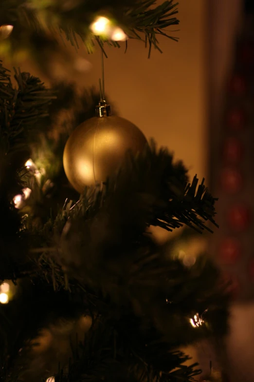 a close up of a christmas tree with lights, an album cover, by David Simpson, pexels, baroque, golden orbs, profile image, indoor picture, black fir