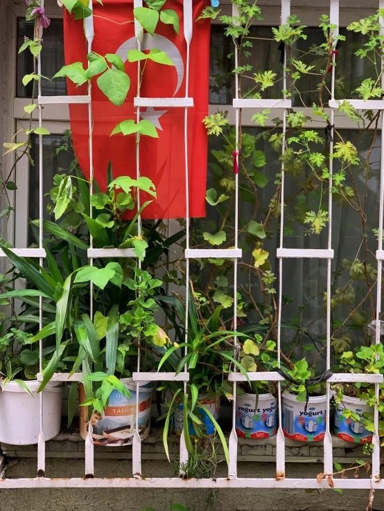 a bunch of plants that are on a window sill, by Andrée Ruellan, environmental art, red grid, cans, in marijuanas gardens, low quality photo