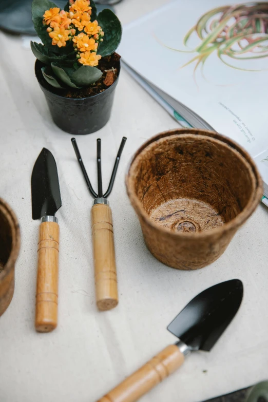 a table topped with potted plants and gardening utensils, a portrait, unsplash, medium close up shot, made of bamboo, black and terracotta, medium close shot