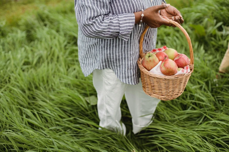 a man holding a basket of apples in a field, by Julia Pishtar, unsplash, wearing overalls, white, walking on grass, striped