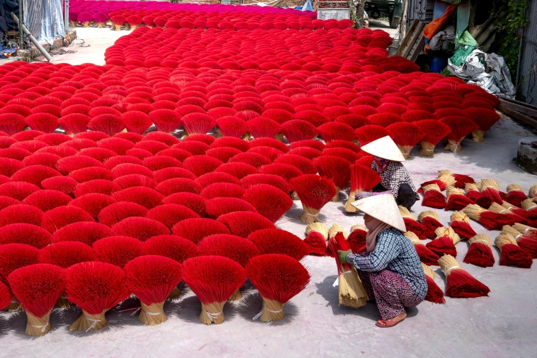 a woman kneeling in front of a large amount of red flowers, inspired by Scarlett Hooft Graafland, pexels contest winner, land art, vietnamese temple scene, parasols, colored market stand, sea weed