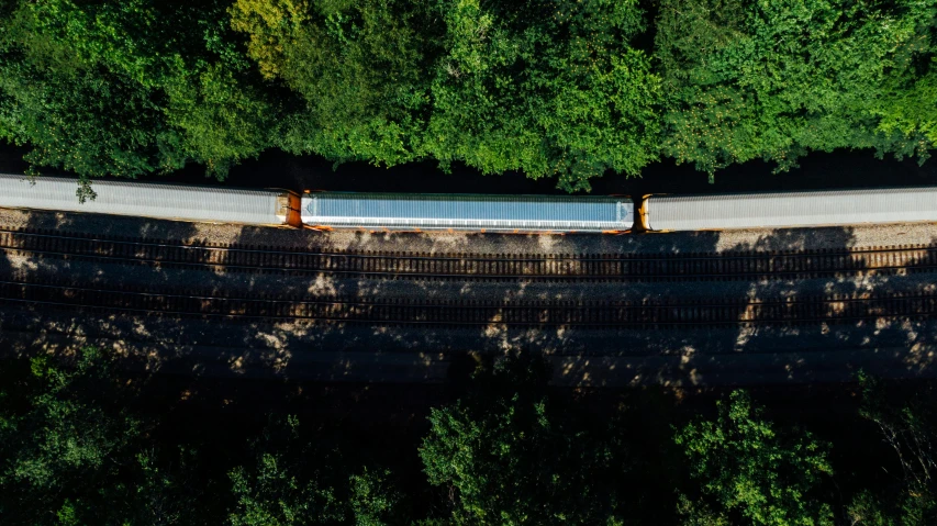 a train traveling through a lush green forest, by Jan Rustem, unsplash, photorealism, top down perspecrive, ignant, shot from roofline, cinematic shot ar 9:16 -n 6 -g