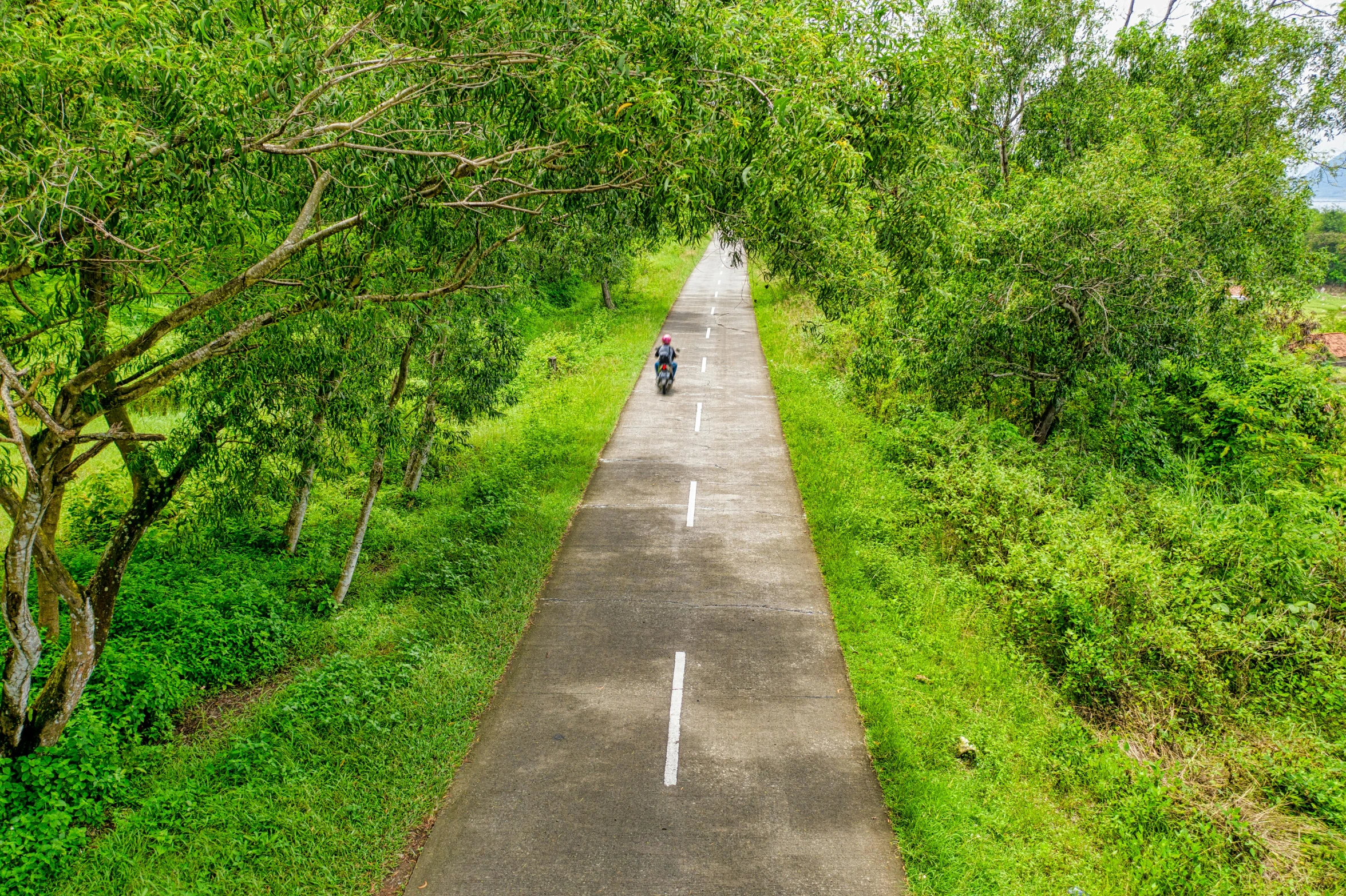 a person riding a motorcycle down a tree lined road, samikshavad, lush greenery, thumbnail, walkway, overview