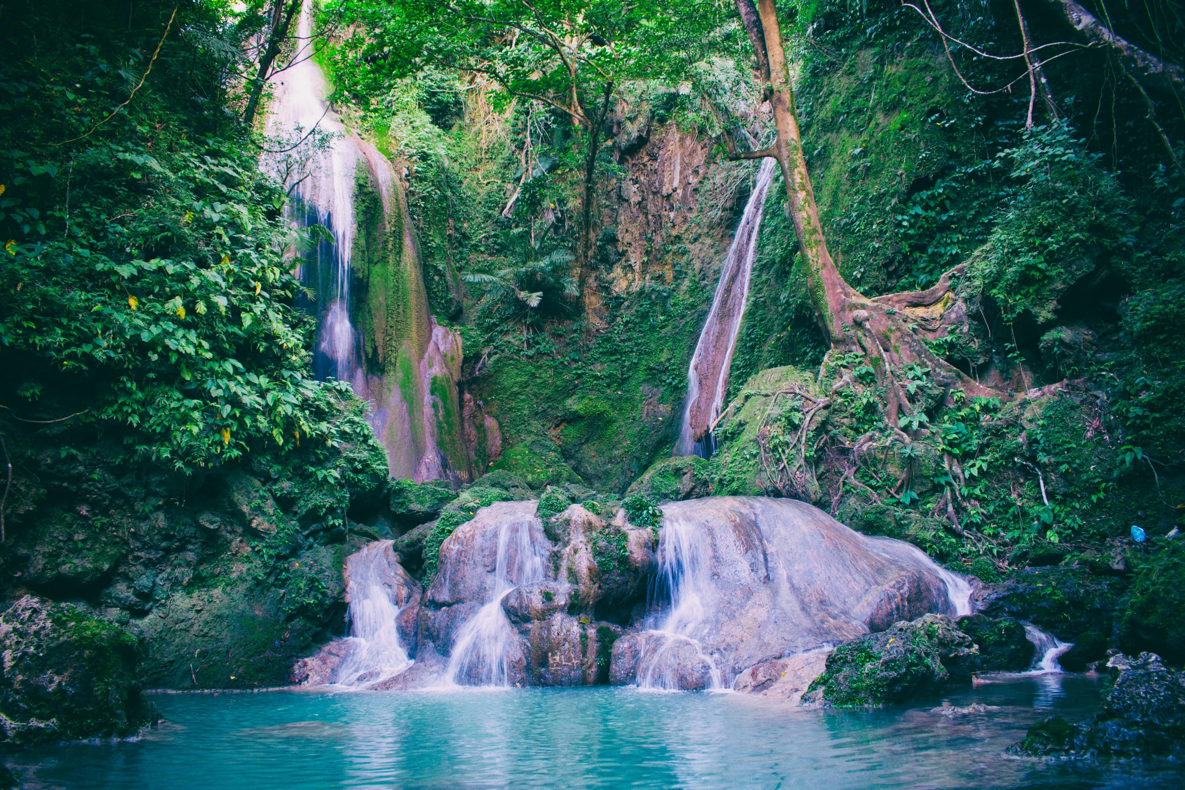 a waterfall in the middle of a lush green forest, by Elsa Bleda, pexels contest winner, sumatraism, turquoise water, festivals, thumbnail, conde nast traveler photo