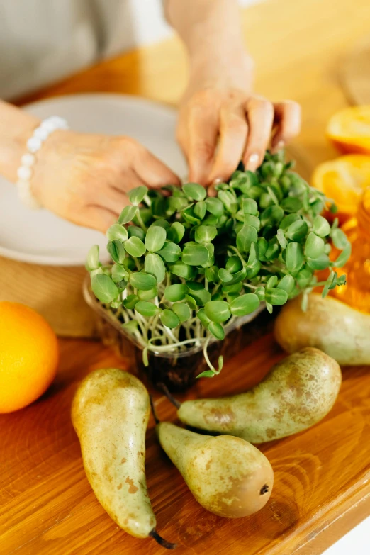 a person putting sprouts in a bowl on a cutting board, by Robert Medley, orange plants, mint, close up of iwakura lain, clover