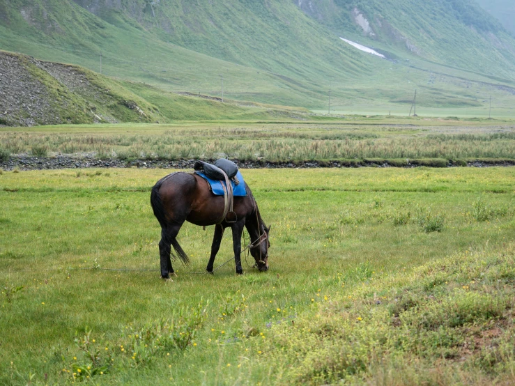 a horse with a saddle grazing in a field, pexels contest winner, hurufiyya, alaska, lush valley, dezeen, genghis khan