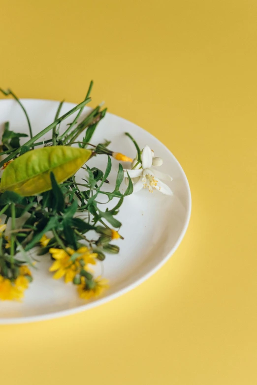 a close up of a plate of food on a table, by Carey Morris, yellow flowers, herbs, minimal composition, detailed product image