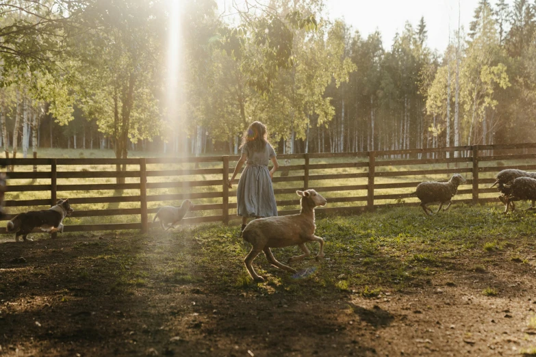 a woman standing in a fenced in area with sheep, by Emma Andijewska, pexels contest winner, magical realism, beautiful raking sunlight, girl running, deers, with dogs