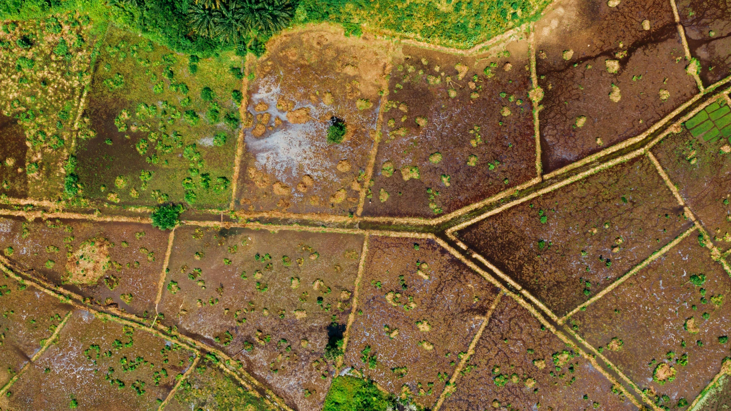 a bird's eye view of a patch of land, by Dietmar Damerau, unsplash contest winner, shipibo, photorealist, panels, highly detaild