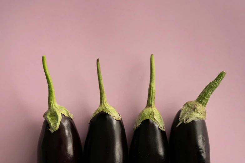 a group of eggplant sitting next to each other on a pink surface, trending on pexels, background image, black velvet, high resolution image, profile posing