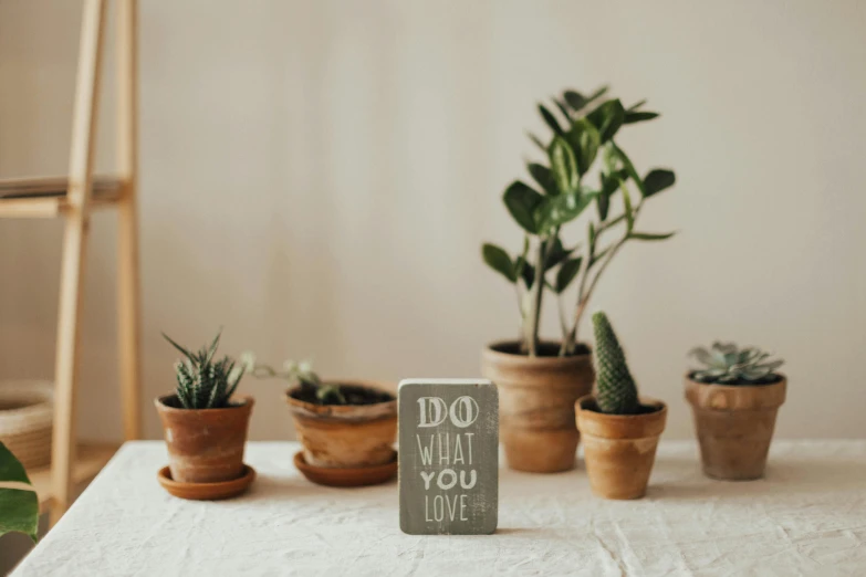 a wooden sign sitting on top of a table next to potted plants, by Emma Andijewska, trending on unsplash, miniatures, background image, potted plant, an artistic pose