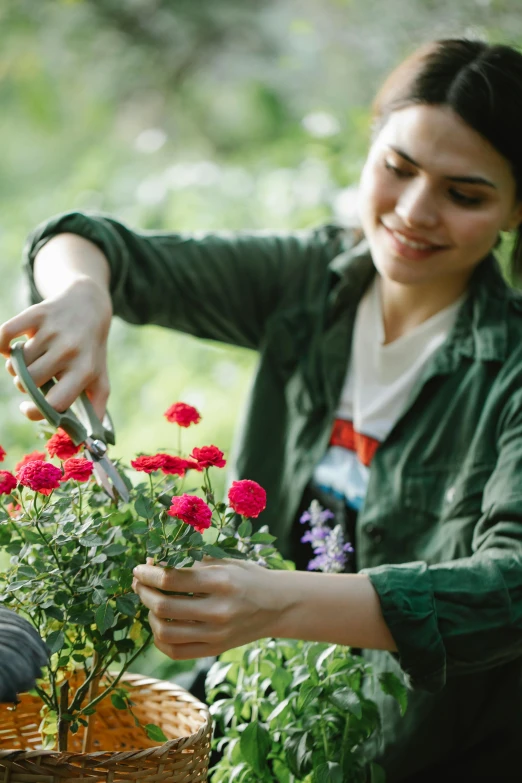 a woman cutting flowers with a pair of scissors, pexels contest winner, garden setting, happy girl, verbena, red and magenta flowers