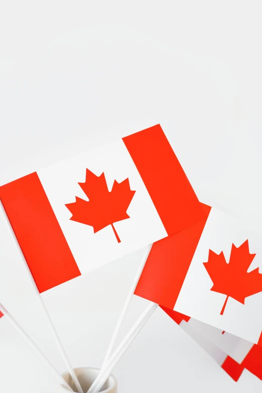 a group of canadian flags sitting on top of a table, profile image, print, staples, on a pale background