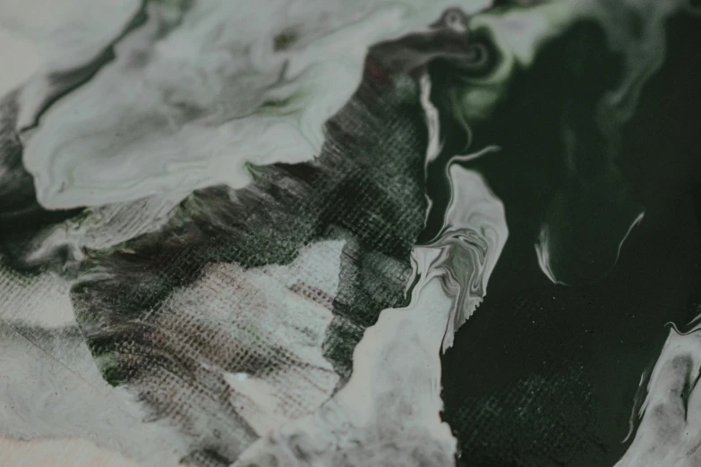 a close up of a black and white painting, inspired by Anna Füssli, trending on pexels, green water, mountainous, ink paint, gray canvas