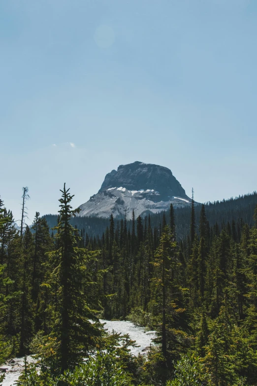 a mountain in the distance with trees in the foreground, british columbia, dome of wonders, 2019 trending photo, clear skies