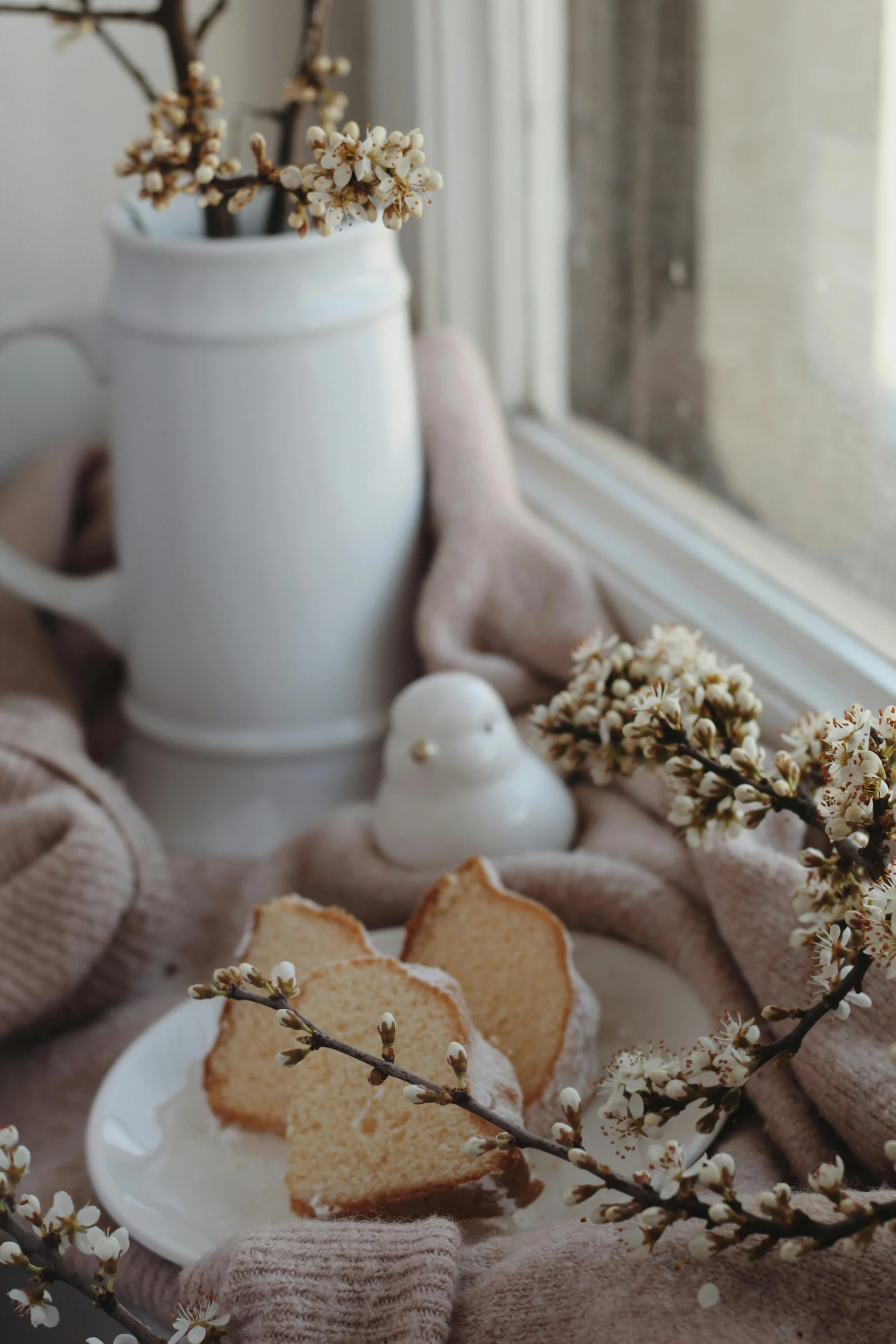 a close up of a plate of food near a window, a still life, by Lucia Peka, trending on pexels, romanticism, white blossoms, bakery, winter season, background image