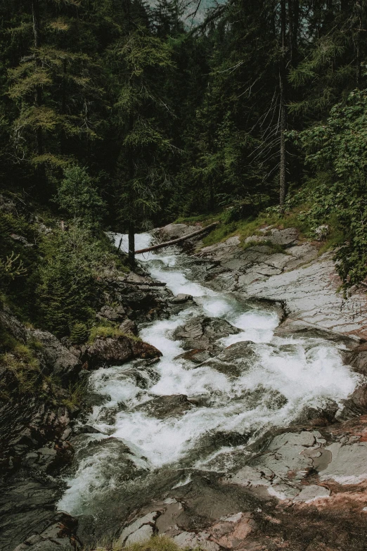 a river running through a lush green forest, an album cover, pexels contest winner, swiss alps, 2 5 6 x 2 5 6 pixels, white water, low quality photo