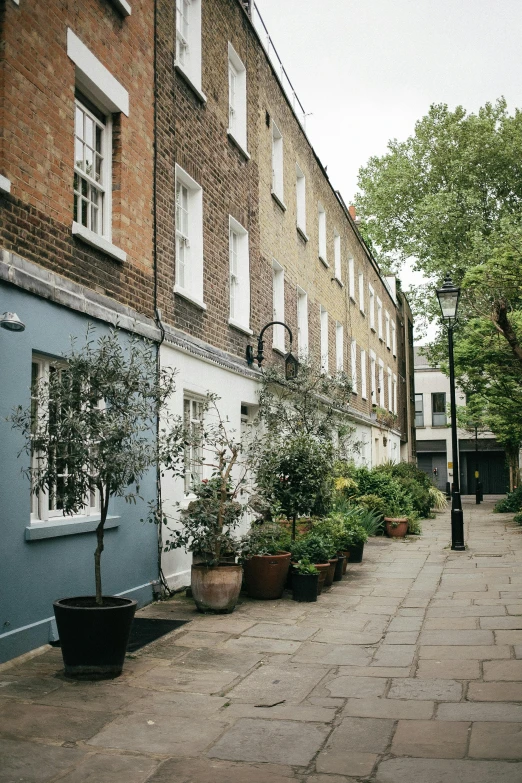 a couple of buildings that are next to each other, by Jane Freeman, pexels contest winner, arts and crafts movement, large potted plant, sloped street, dwell, london