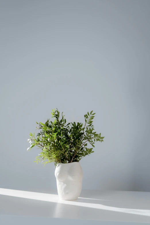 a potted plant sitting on top of a white table, a marble sculpture, inspired by Théodore Rousseau, unsplash, romanticism, porcelain organic tissue, smooth background, in laurel wreath, linen