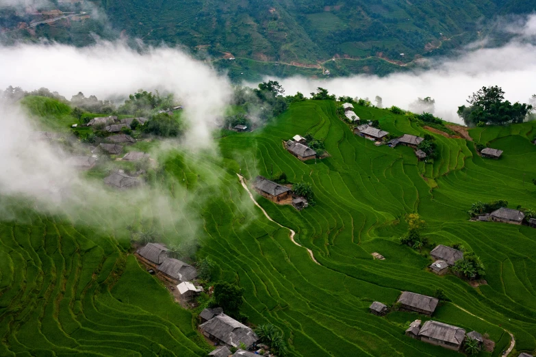 a group of houses sitting on top of a lush green hillside, a picture, inspired by Hu Zao, pexels contest winner, happening, covered in clouds, rice, helicopter view, bao pham