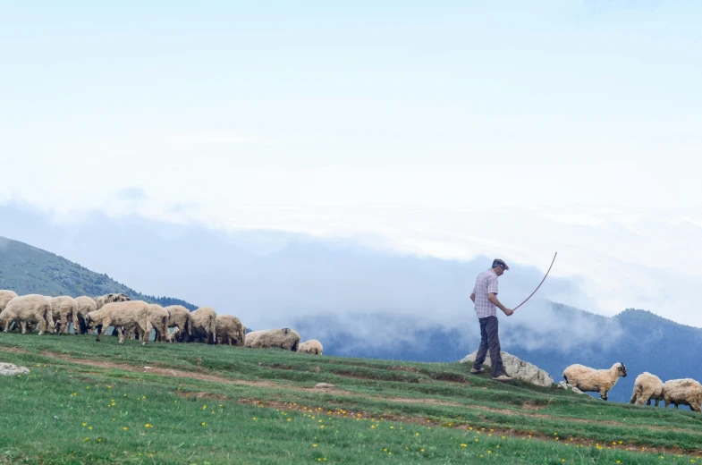 a man standing on top of a lush green hillside, pexels contest winner, land art, sheep grazing, holding a wooden staff, avatar image, traditional corsican