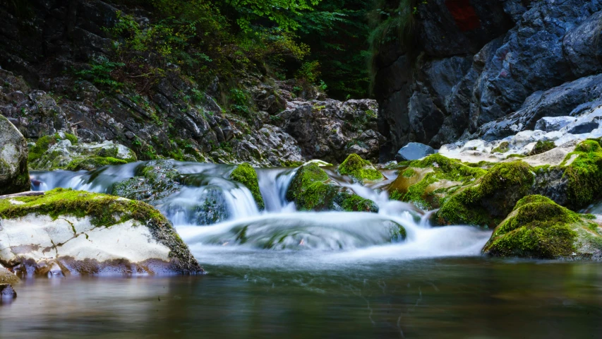 a stream running through a lush green forest, by Mirko Rački, pexels contest winner, hurufiyya, wet rocks, white water, thumbnail, brown