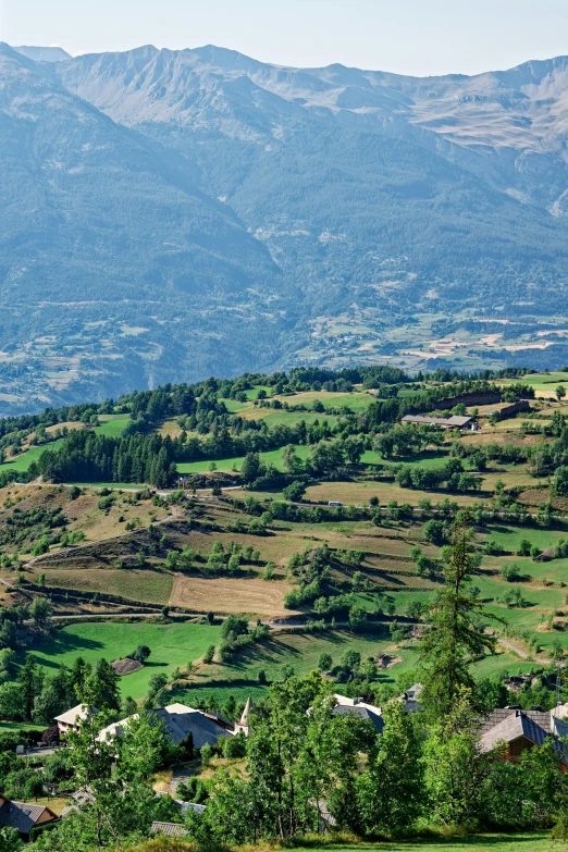 a herd of sheep standing on top of a lush green hillside, les nabis, terraced orchards and ponds, square, overview, slate