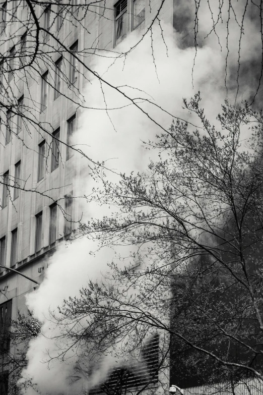 a black and white photo of a building with smoke coming out of it, inspired by André Kertész, on trees, downtown, spring day, branches