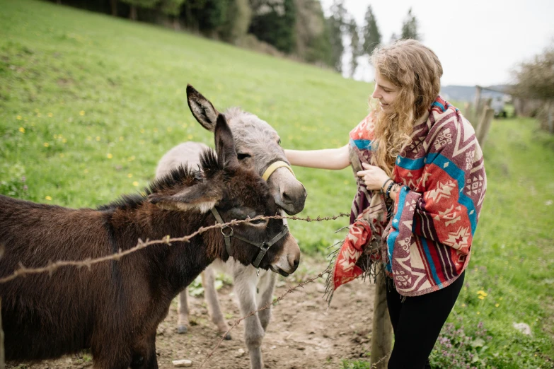 a woman standing next to two donkeys in a field, by Julia Pishtar, pexels contest winner, renaissance, girl of the alps, avatar image, having a snack, a cozy