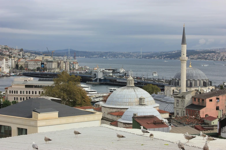 a group of birds sitting on top of a roof, inspired by Fikret Muallâ Saygı, pexels contest winner, hurufiyya, harbour in background, ottoman sultan, high view, lead - covered spire