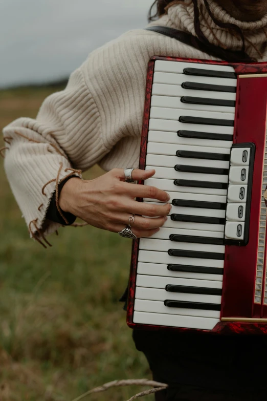 a woman holding an accordion in a field, by Ivana Kobilca, trending on pexels, square, a pair of ribbed, paul barson, maroon