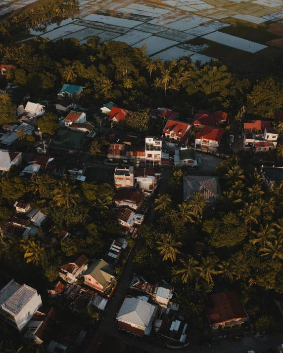 an aerial view of a small town surrounded by palm trees, a screenshot, pexels contest winner, philippines, neighborhood themed, cottages, late afternoon light