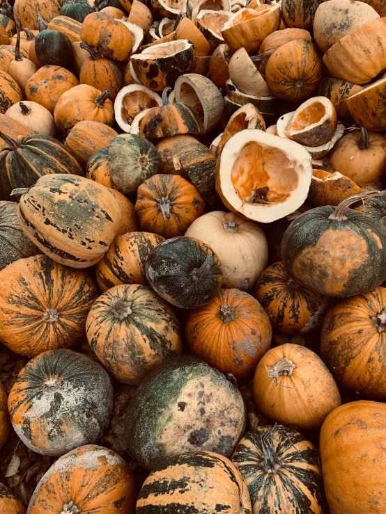 a pile of pumpkins sitting on top of each other, by Jacob Burck, unsplash, baroque, 2 5 6 x 2 5 6 pixels, eating rotting fruit, brazil, with slight stubble