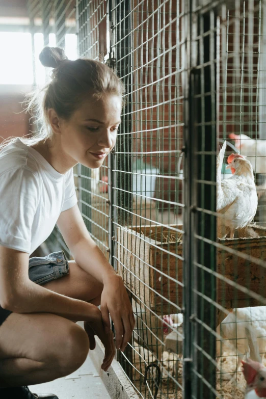 a woman kneeling down petting chickens in a cage, pexels contest winner, thoughtful expression, aussie, profile image, teenager