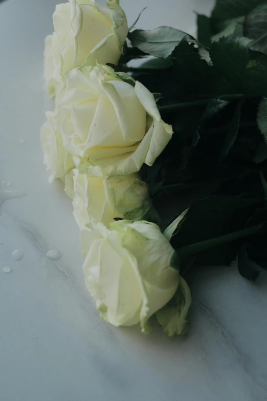 a bunch of white roses sitting on top of a table, smooth marble surfaces, wet from rain, left profile, commercially ready