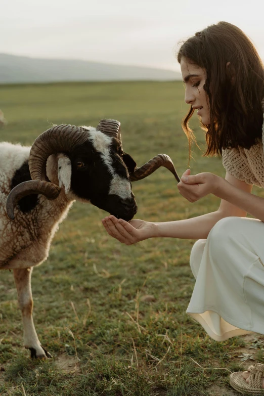 a woman kneeling down petting a sheep in a field, by Emma Andijewska, trending on pexels, renaissance, made of wool, natalia dyer, having a snack, evening lighting