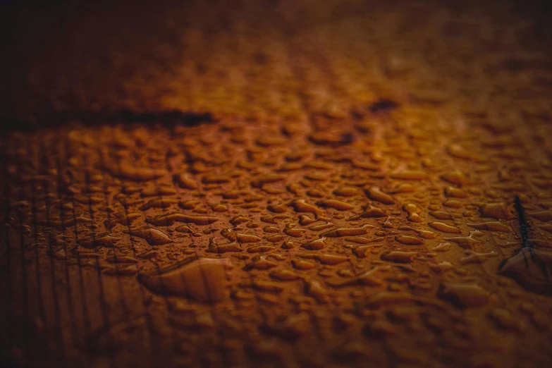 a close up of water droplets on a wooden surface, unsplash, hyperrealism, brown mud, scratched photo, grain”